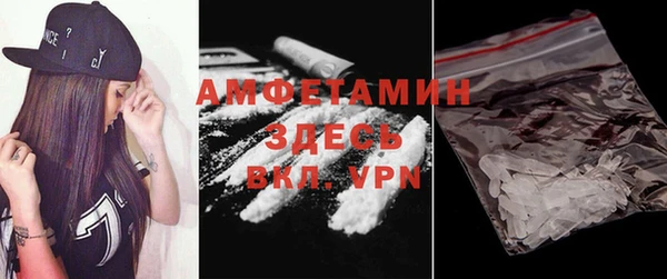 индика Баксан