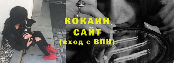 индика Баксан