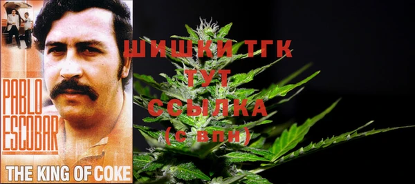 индика Баксан