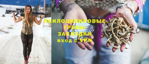 индика Баксан