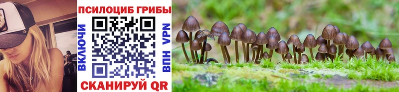 как найти наркотики  ОМГ ОМГ tor  Галлюциногенные грибы Psilocybine cubensis  Кузнецк 